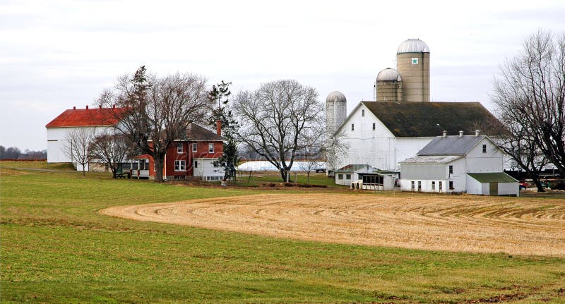 Amish Farm
