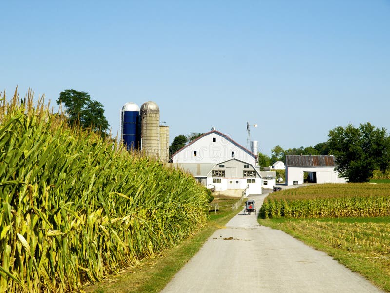 Amish Farm, Lancaster USA Stock Photos Image 17269713