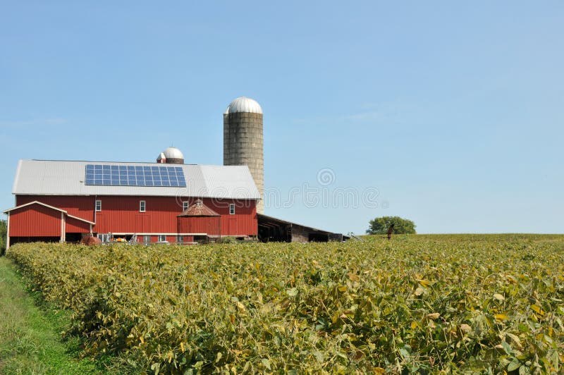 Amish Farm royalty free stock image Amish Farm royalty free stock image