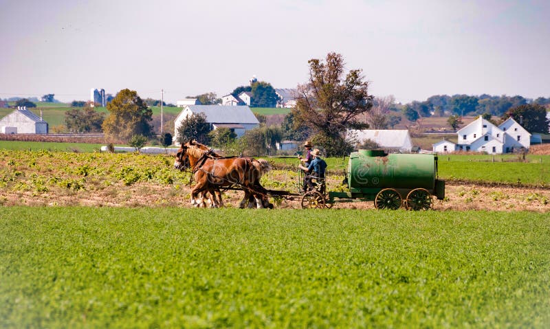 Amish gospodarstwa rolnego syna & ojca działanie obraz stock Amish gospodarstwa rolnego syna & ojca działanie obraz stock