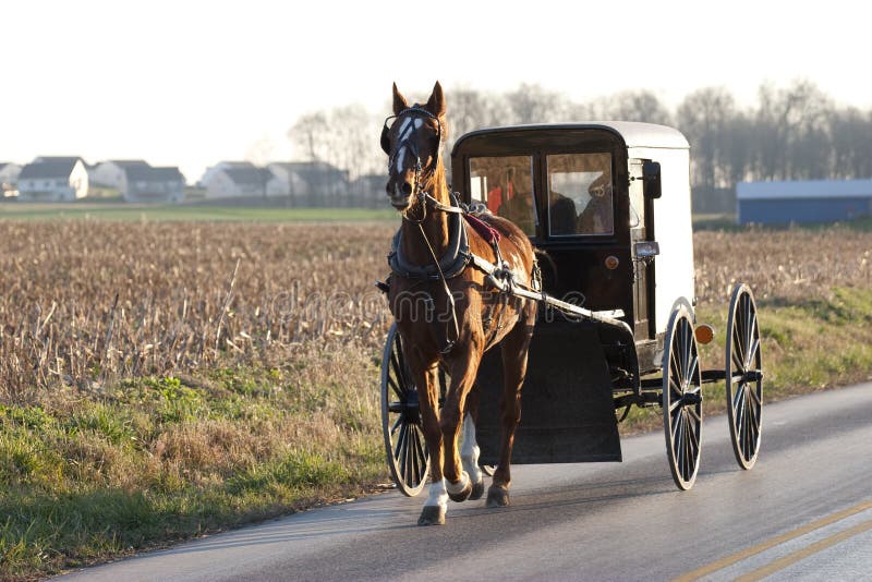 amish-horse-cart-12592013.jpg