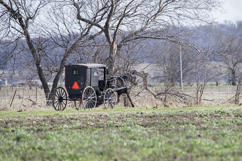 Amish koński rysujący czarny powozik spoked, koła, kraj strona, farmlan obrazy stock Amish koński rysujący czarny powozik spoked, koła, kraj strona, farmlan obrazy stock