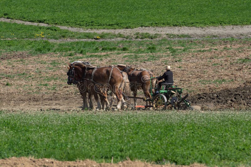 Amish rolnicy Uprawia ziemię zdjęcie royalty free Amish rolnicy Uprawia ziemię zdjęcie royalty free
