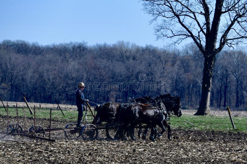 Amish Średniorolny oranie zdjęcia stock Amish Średniorolny oranie zdjęcia stock