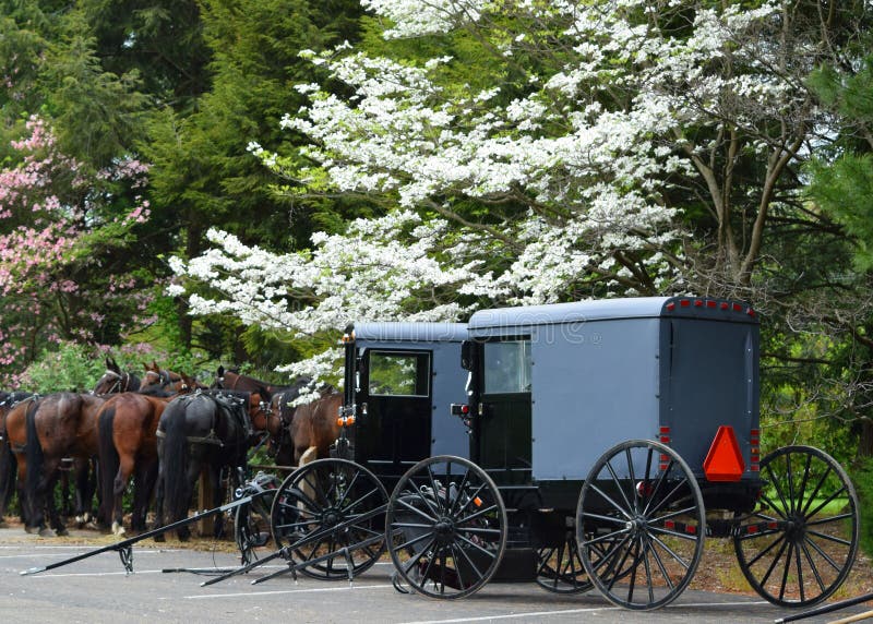 Amishpaarden en Buggies in Lancaster, PA royalty-vrije stock afbeelding Amishpaarden en Buggies in Lancaster, PA royalty-vrije stock afbeelding