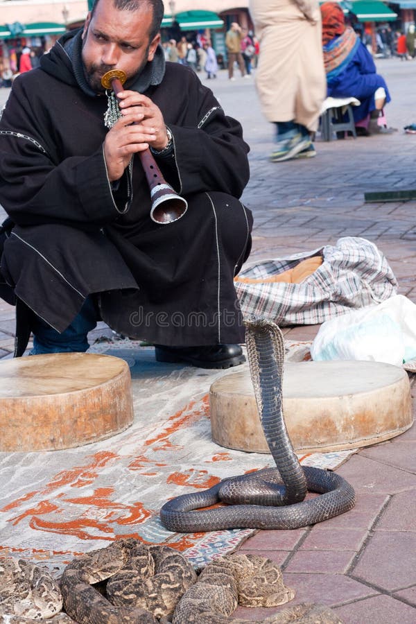 Ammaliatore di serpente - Marocco immagini stock libere da diritti Ammaliatore di serpente - Marocco immagini stock libere da diritti
