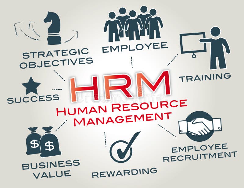 Amministrazione delle risorse umane, HRM illustrazione vettoriale Amministrazione delle risorse umane, HRM illustrazione vettoriale