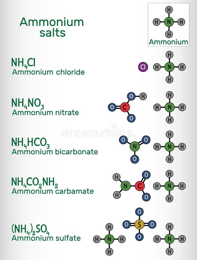 Ammonium salts: ammonium bicarbonate, ammonium carbamate, ammonium sulfate, ammonium nitrate, ammonium chloride molecule. Skeletal chemical formula. Vector illustration