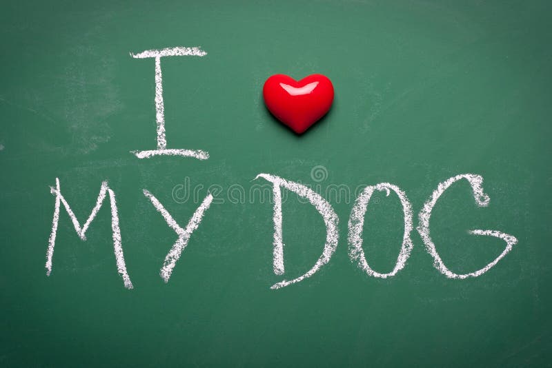 Amo il mio cane fotografie stock Amo il mio cane fotografie stock