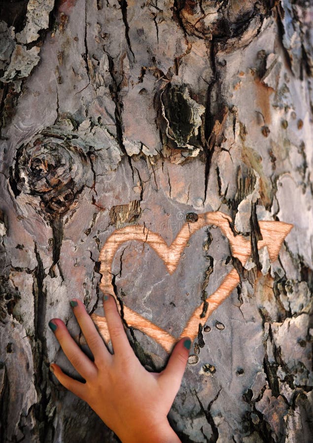 Amor perdido implorando - coração cinzelado na casca de árvore