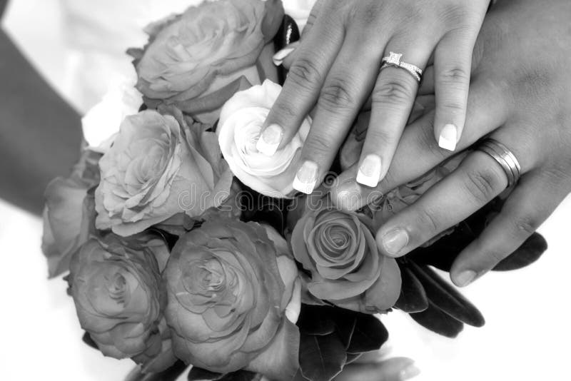 Bride and groom show off their wedding rings. Bride and groom show off their wedding rings