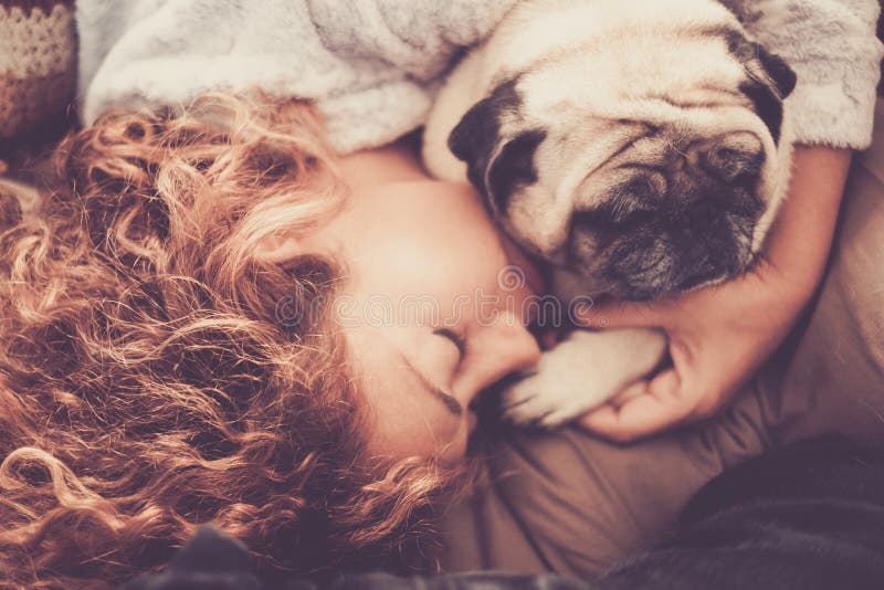Amor verdadeiro real entre o sono caucasiano da mulher bonita da Idade Média e para proteger, seu pug do cão dos melhores amigos fotos de stock Amor verdadeiro real entre o sono caucasiano da mulher bonita da Idade Média e para proteger, seu pug do cão dos melhores amigos fotos de stock