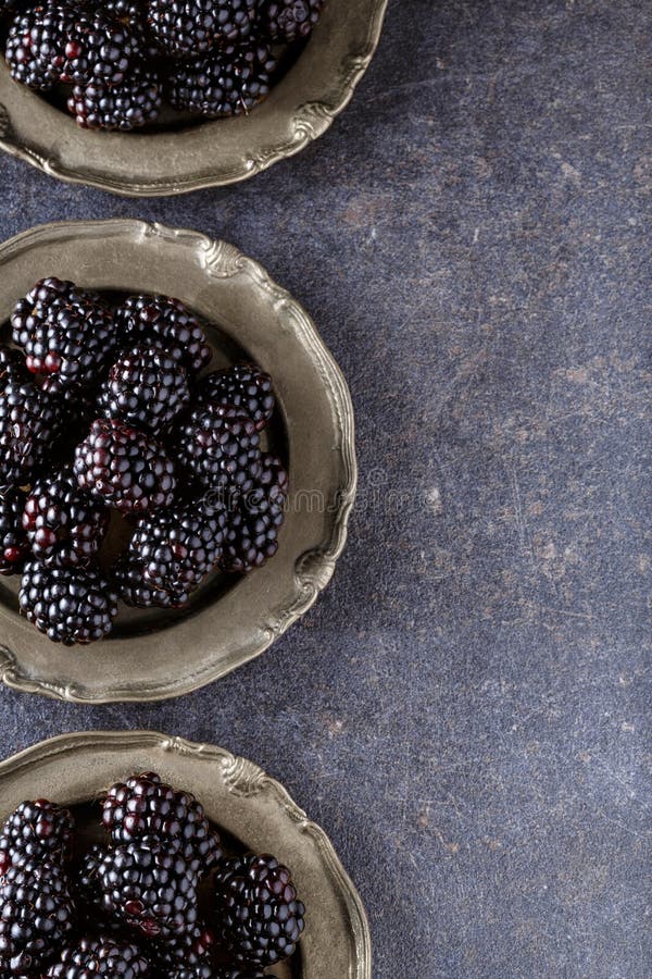 Amora-preta saudável fresca do verão na placa fotografia de stock royalty free