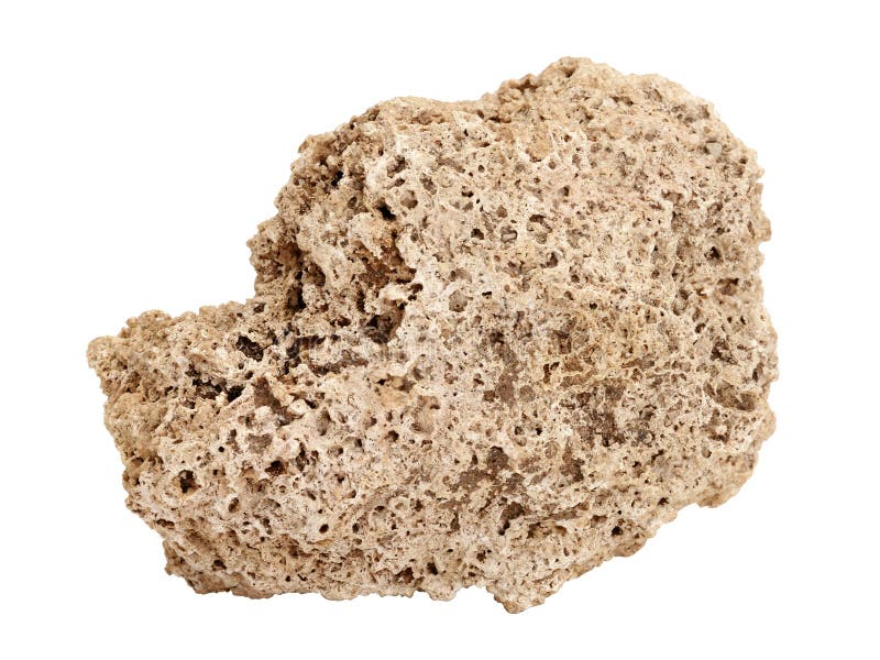 Natural specimen of Travertine limestone tufa - porous cellular sedimentary rock formed by deposition of calcium carbonate calcite, aragonite of hot or cold mineral springs on white background. Natural specimen of Travertine limestone tufa - porous cellular sedimentary rock formed by deposition of calcium carbonate calcite, aragonite of hot or cold mineral springs on white background