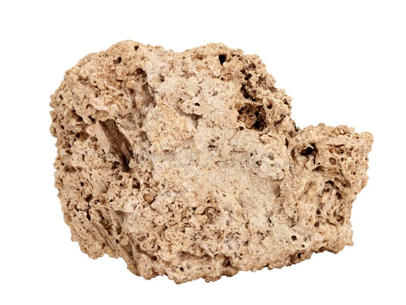 Natural specimen of Travertine tufa limestone - porous cellular sedimentary rock formed by deposition of calcium carbonate calcite, aragonite of hot or cold mineral springs on white background. Natural specimen of Travertine tufa limestone - porous cellular sedimentary rock formed by deposition of calcium carbonate calcite, aragonite of hot or cold mineral springs on white background