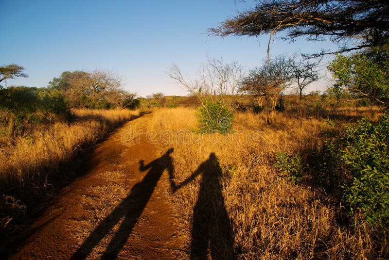 Amour de la savane image libre de droits Amour de la savane image libre de droits