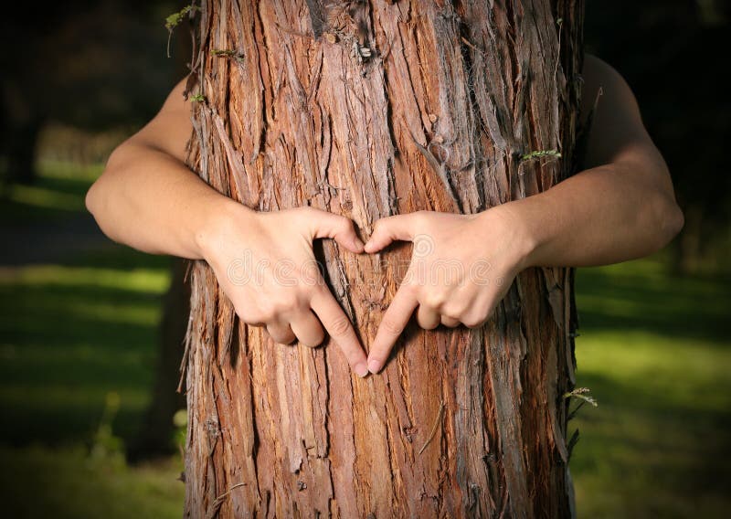 Amoureux d'arbre Amoureux d'arbre