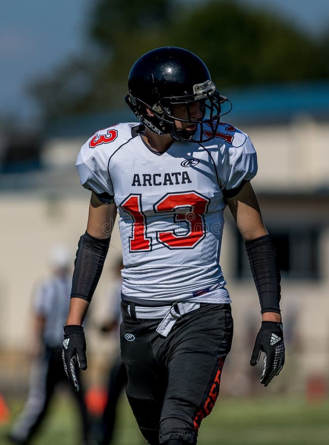 Ampio ricevitore fotografia stock libera da diritti