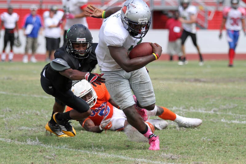 Ampio ricevitore fotografia stock