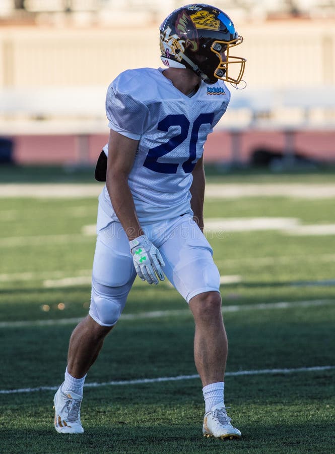 Ricevitore Largo immagini stock libere da diritti