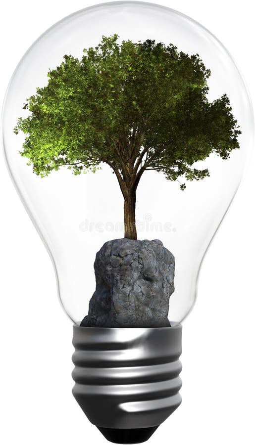 Ampola, árvore, ambiente, isolado, energia, verde fotos de stock Ampola, árvore, ambiente, isolado, energia, verde fotos de stock