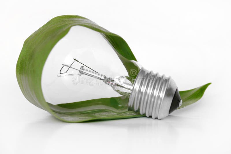 Ampoule d'Eco photo stock Ampoule d'Eco photo stock