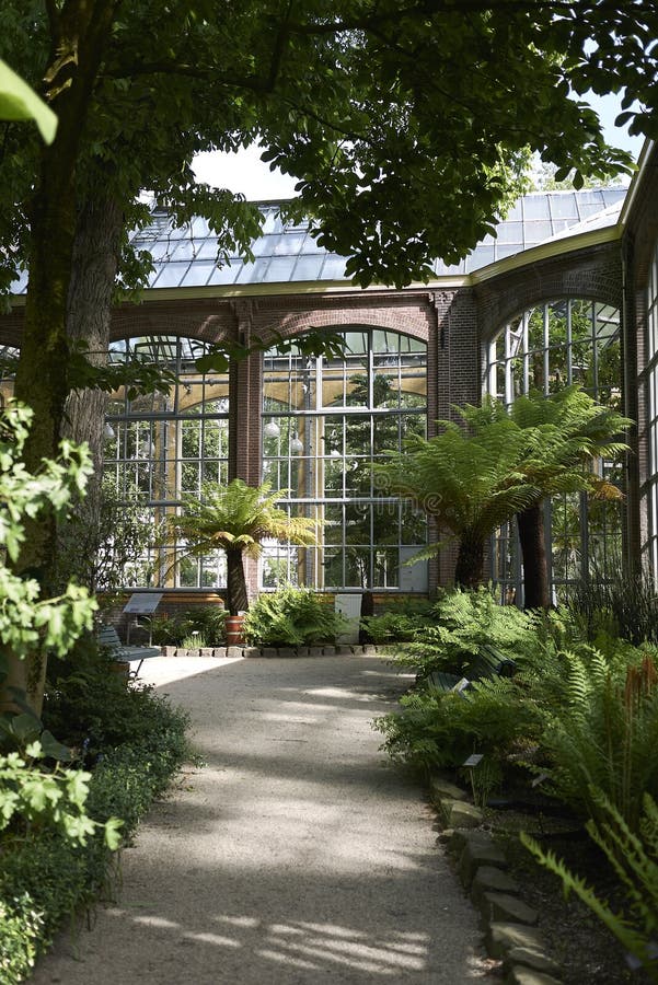 Amsterdam botanical garden editorial photography. Image of palm 118057402