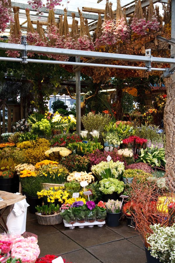 Flower market stock photo. Image of flower, sell, display 12052332
