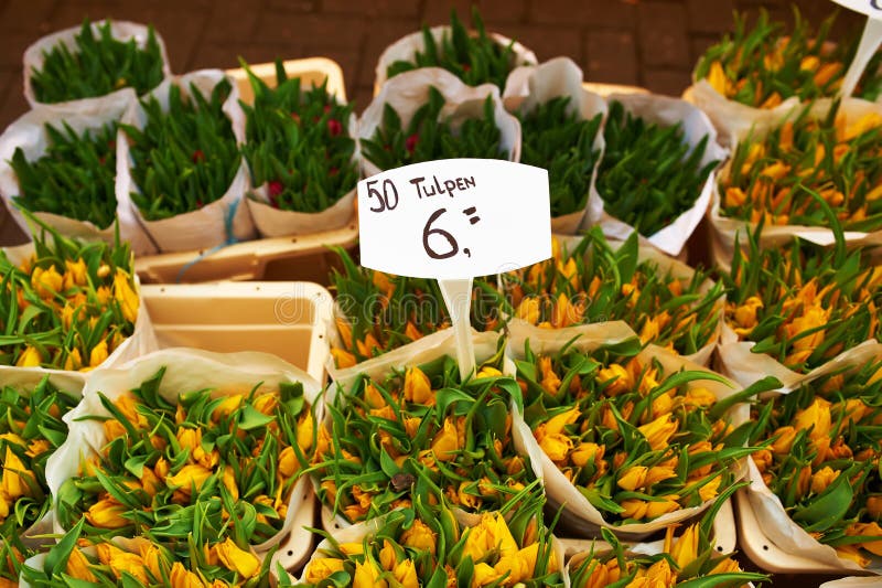 Amsterdam flower market stock photo. Image of green, dutch 32503774