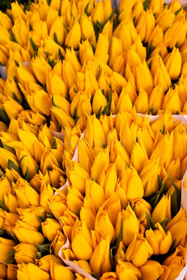 Amsterdam flowers market