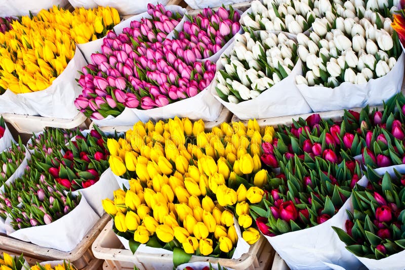 Amsterdam flowers market