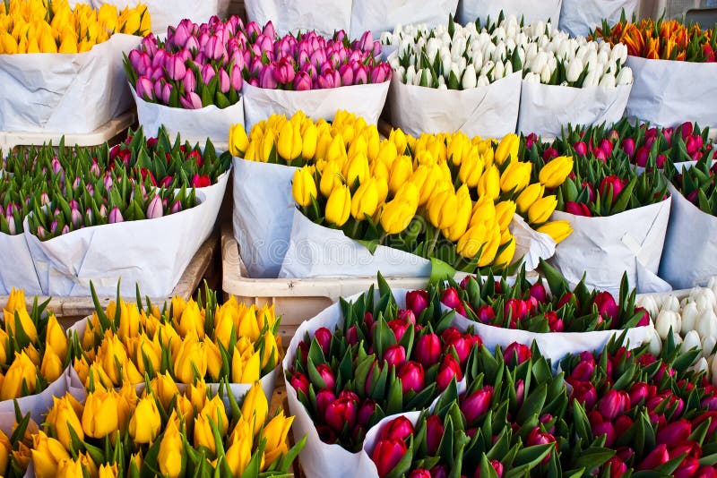 Amsterdam flowers market