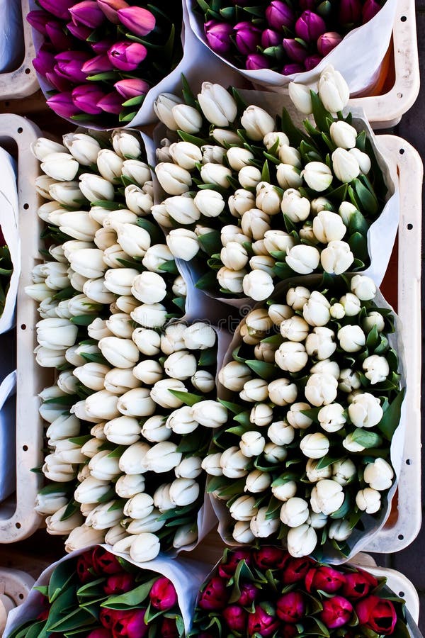 Amsterdam flowers market