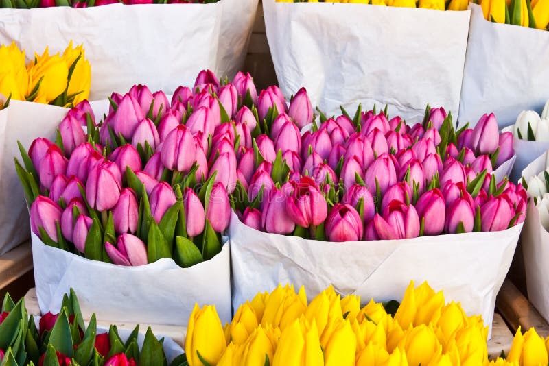 Amsterdam flowers market