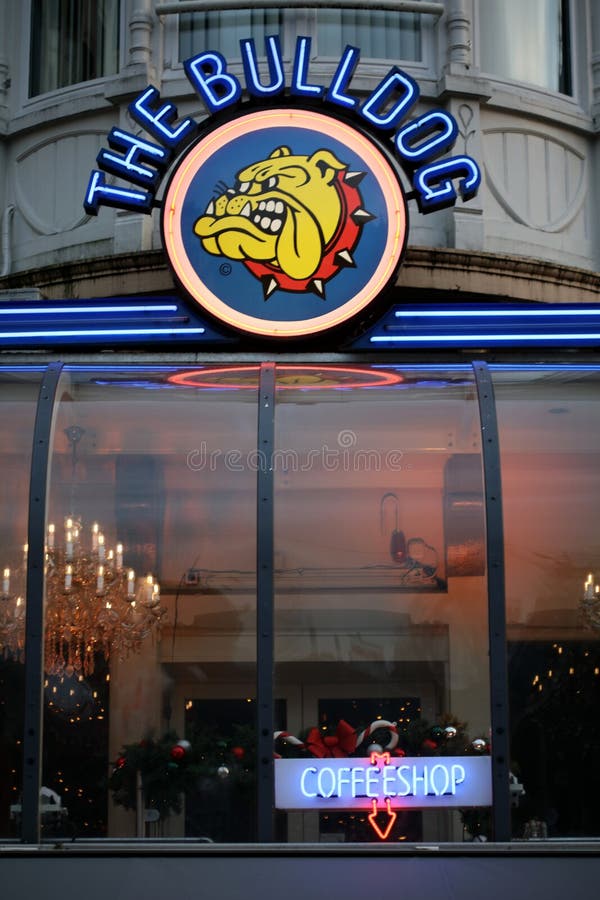 Amsterdam, Holland, Monday 2 December 2019: View of the bull dog coffee shop background high quality prints stock photo Amsterdam, Holland, Monday 2 December 2019: View of the bull dog coffee shop background high quality prints stock photo