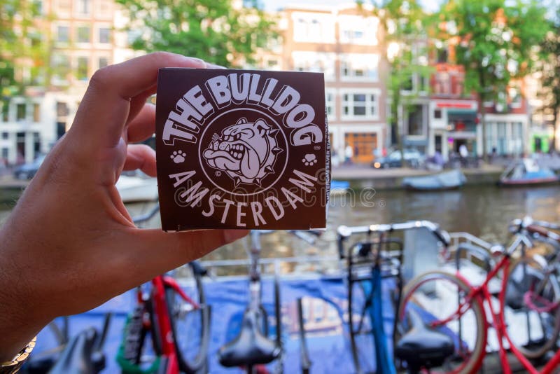 AMSTERDAM, NEDERLAND - 10 JUNI, 2014: De hand houdt marihuana cupcake van de winkel van de Buldogkoffie stock afbeelding AMSTERDAM, NEDERLAND - 10 JUNI, 2014: De hand houdt marihuana cupcake van de winkel van de Buldogkoffie stock afbeelding