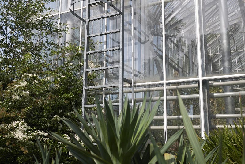 Amsterdam botanical garden editorial image. Image of south 118057670