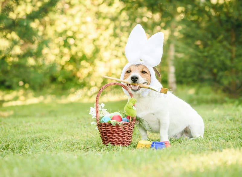 Amusing Dog with Bunny Ears Made Gift Basket with Traditional Easter ...