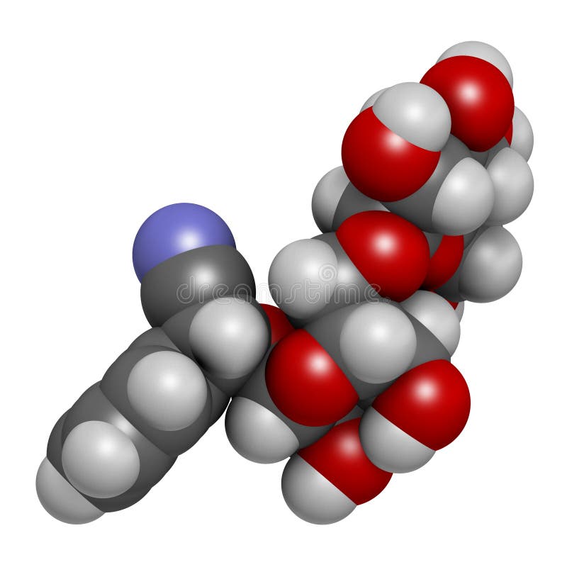 Amygdalin 3D rendering. Atoms are represented as spheres with conventional color coding: hydrogen white, carbon grey, oxygen royalty free illustration