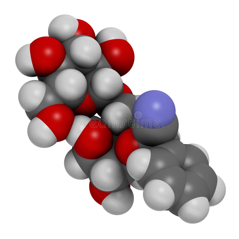 Amygdalin 3D rendering. Atoms are represented as spheres with conventional color coding: hydrogen white, carbon grey, oxygen stock illustration