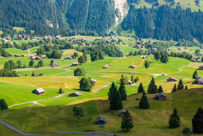 Aménagez en parc avec le village de montagne en été, Grindelwald, Suisse image stock Aménagez en parc avec le village de montagne en été, Grindelwald, Suisse image stock