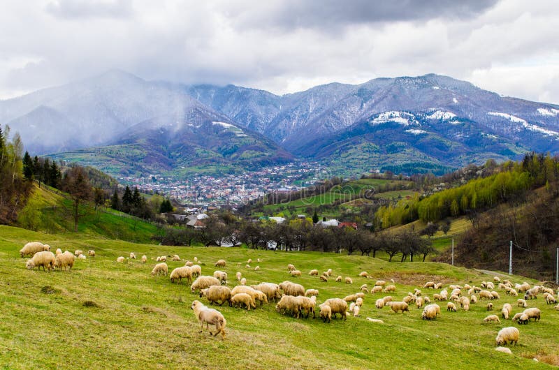 Aménagez en parc du village de Prundu Bargaului, comté de Bistrita Nasaud, la Transylvanie images stock Aménagez en parc du village de Prundu Bargaului, comté de Bistrita Nasaud, la Transylvanie images stock