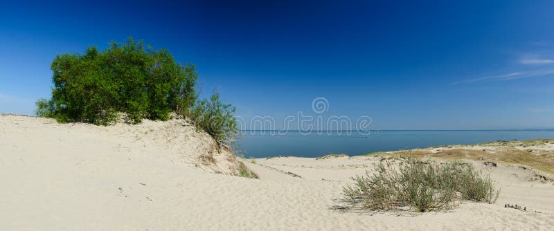 Landscape sand dune on curonian spit in lithuania. Landscape sand dune on curonian spit in lithuania