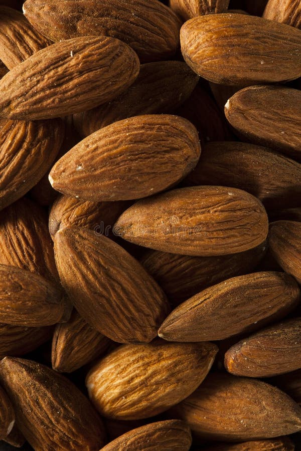 Amêndoas orgânicas cruas de Brown fotos de stock royalty free