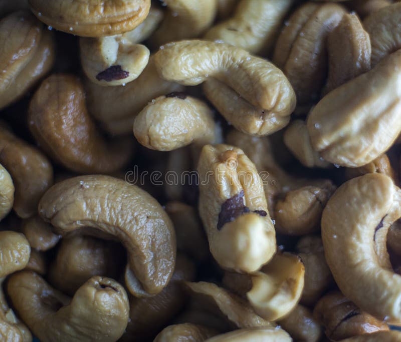 Anacardium occidentale Is a perennial flowering plant in the family Anacardiaceae. The same group as the mango And nuts Star OSU.