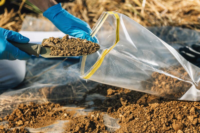 Analisi del suolo. ispettore agronomico prelevando un campione di terreno