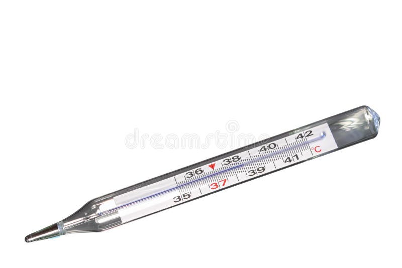 Clinical analog thermometer Royalty Free Vector Image