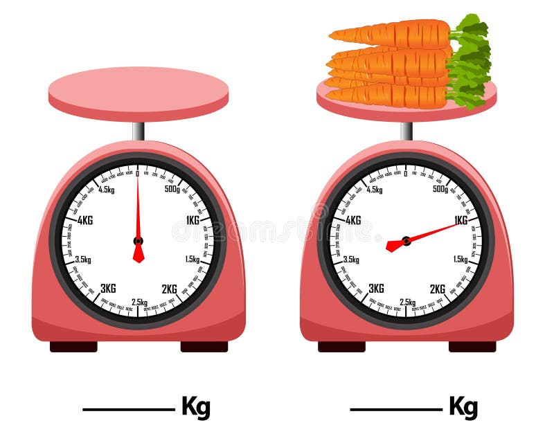 Economy Weighing Scale 2.5KG