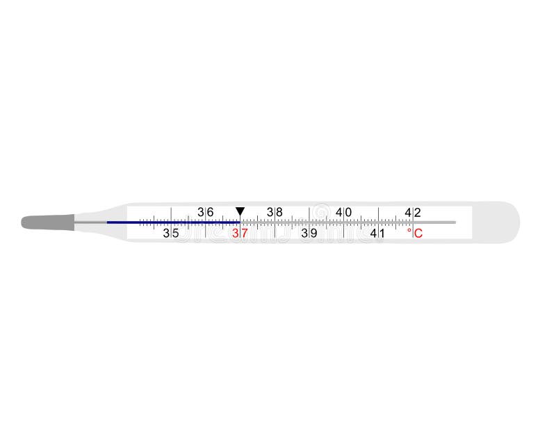 Paar servet helemaal Analoge koortsthermometer vector illustratie. Illustration of vector -  10487594