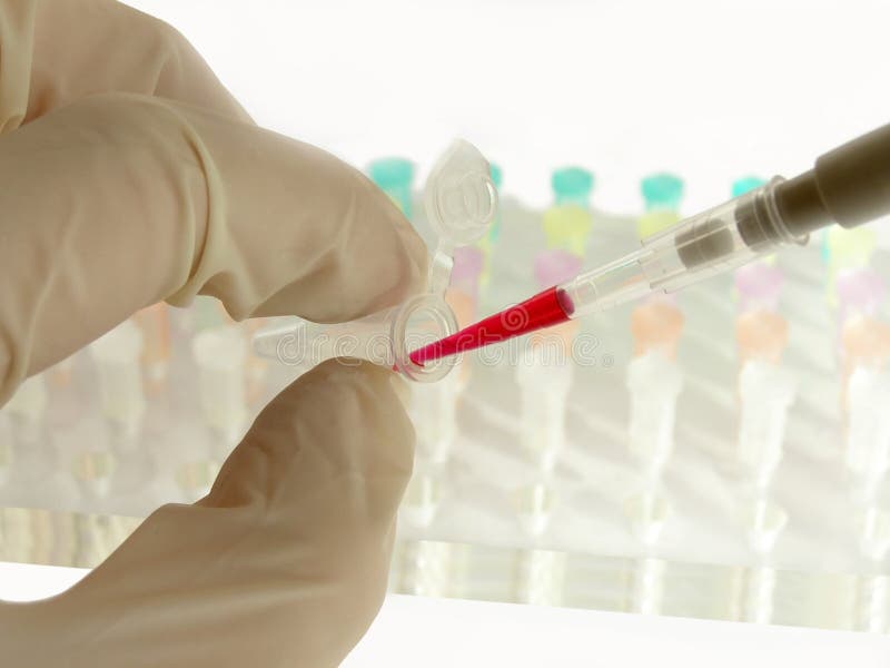 The analysis of samples royalty free stock photography